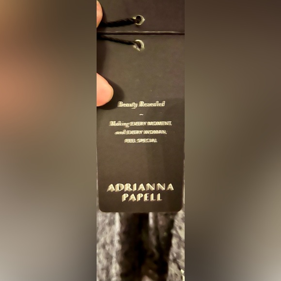 ADRIANNA PAPELL LONG SLEEVE BACK ZIPPER LACE SHEATH DRESS🔥🔥🔥🔥sz 16 - Picture 4 of 5